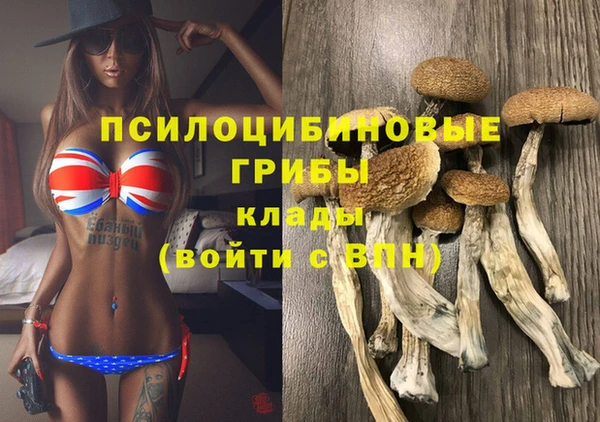 соль ск Белокуриха